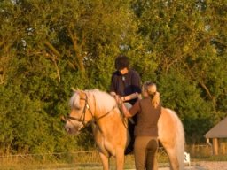 WEB_IMG-7142